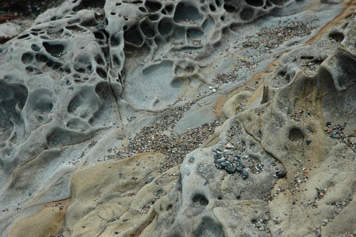 Moonstone Beach 068.jpg